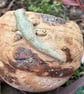 Stoneware planter with lizard - Image 3