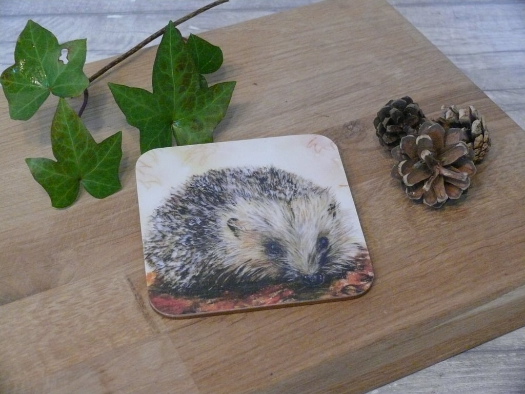 'Harry the forager' hedgehog, cork backed coaster