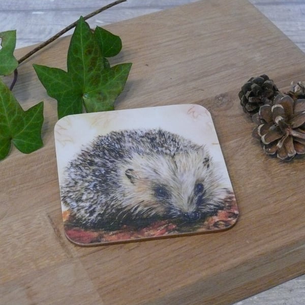 'Harry the forager' hedgehog, cork backed coaster