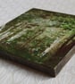 Silver Birches, Ancient Woodland in full leaf, original painting of trees - Image 2