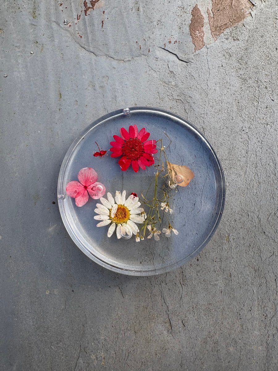 Red Floral Collection - Resin Coaster