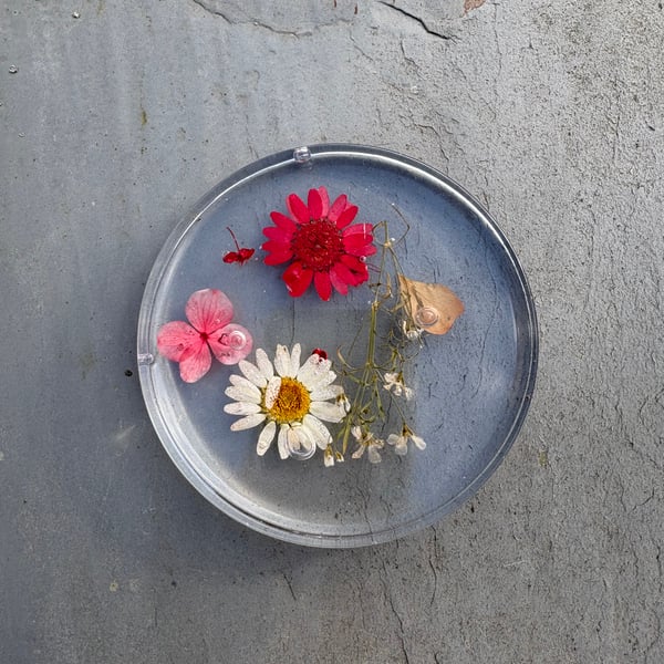 Red Floral Collection - Resin Coaster