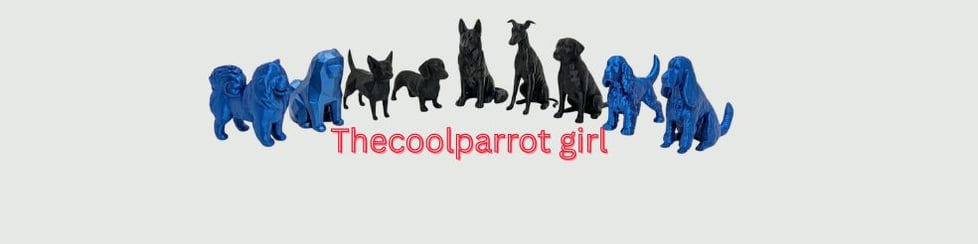 Thecoolparrotgirl