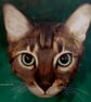 Custom Pet Portrait Original Oil Painting on Canvas Panel 20x20cm DavidNicolArt - Image 5