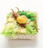 Snail Diorama. - Image 4