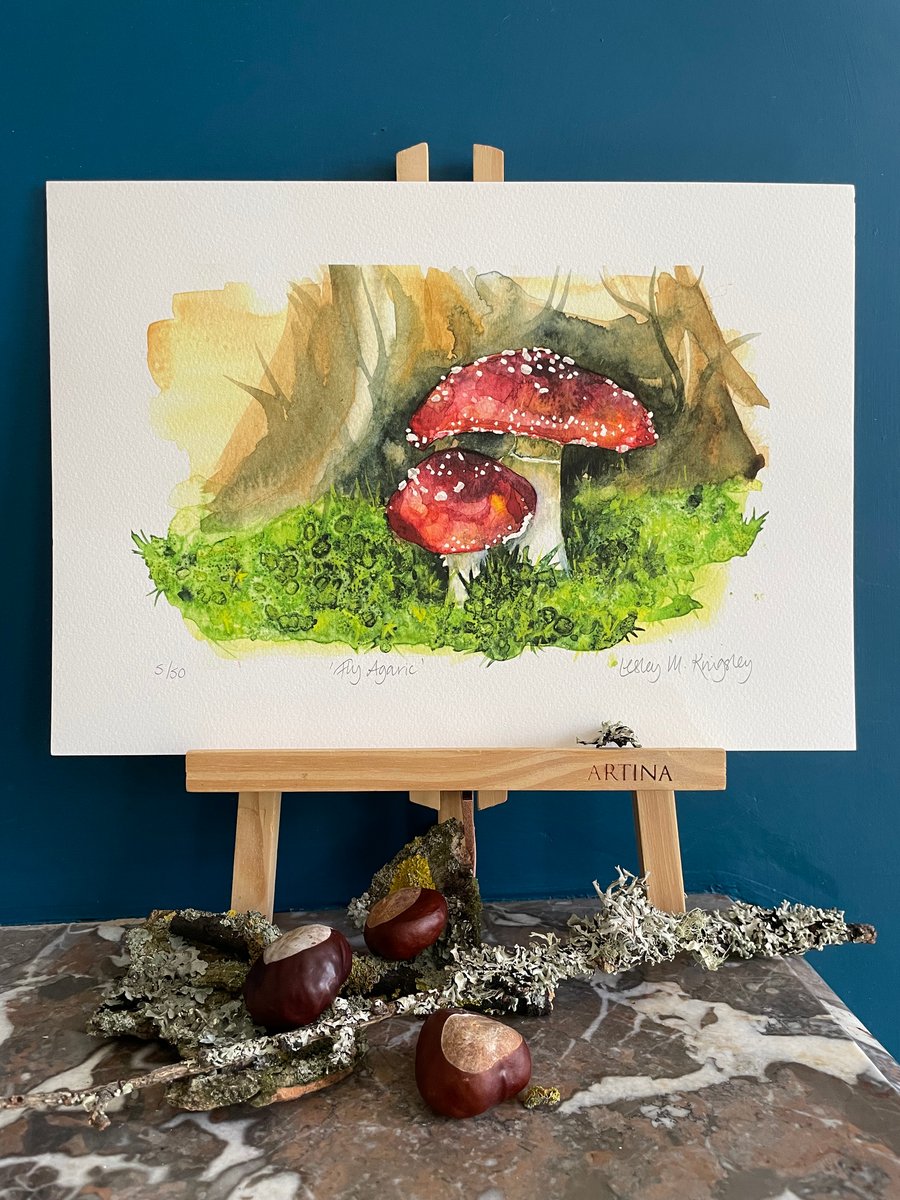'Fly Agaric' limited edition giclée print