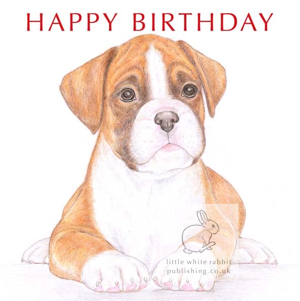 Jake the Boxer - Birthday Card