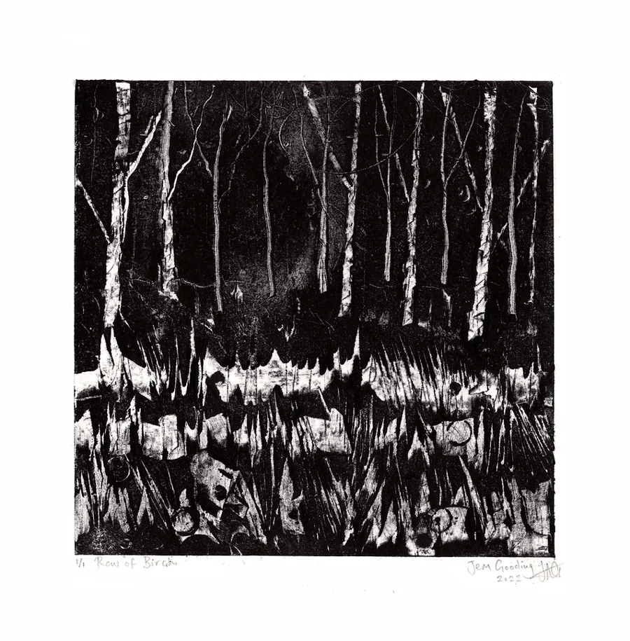 A Row of Birch