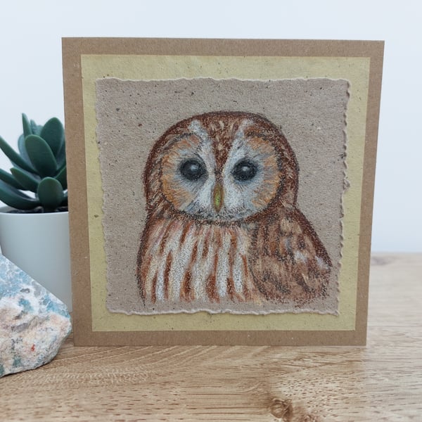 Hand Drawn Tawny Owl Blank Greetings Card. Unique Card for Owl Lovers.