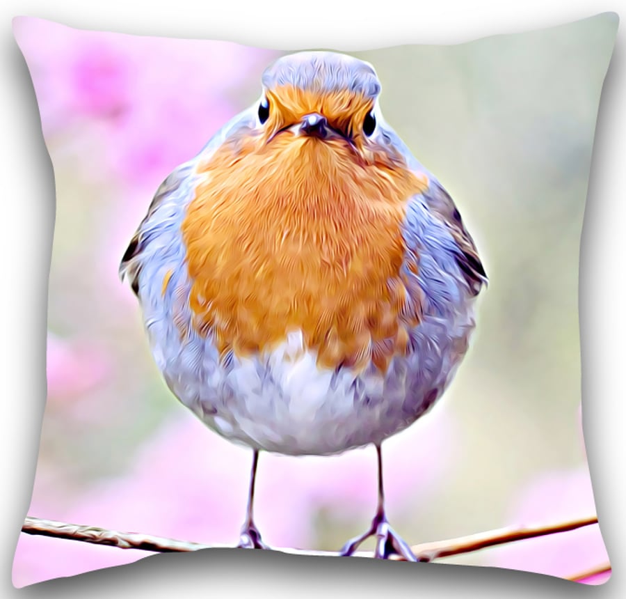 Robin Cushion Robin cushion cover