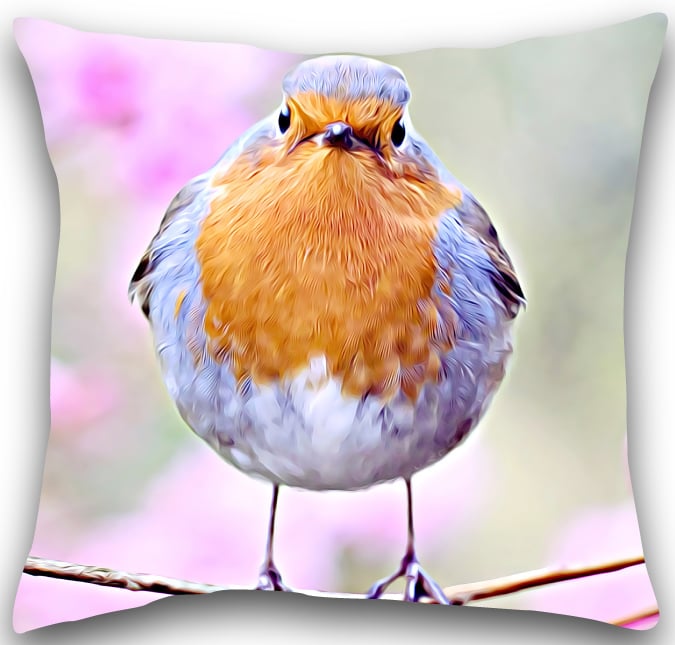 Robin Cushion Robin cushion cover