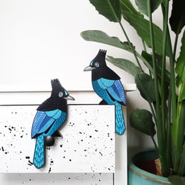 Steller's jay door topper, American birds, bird wall art, bird lovers gift idea.