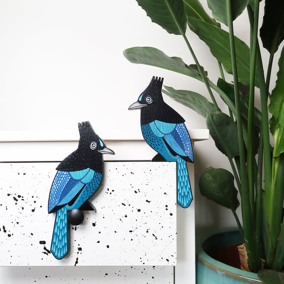 Steller's jay door topper, American birds, bird wall art, bird lovers gift idea.