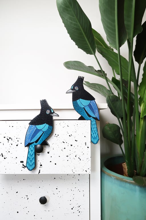 Steller's jay door topper, American birds, bird wall art, bird lovers gift idea.