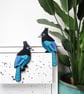 Steller's jay door topper, American birds, bird wall art, bird lovers gift idea.
