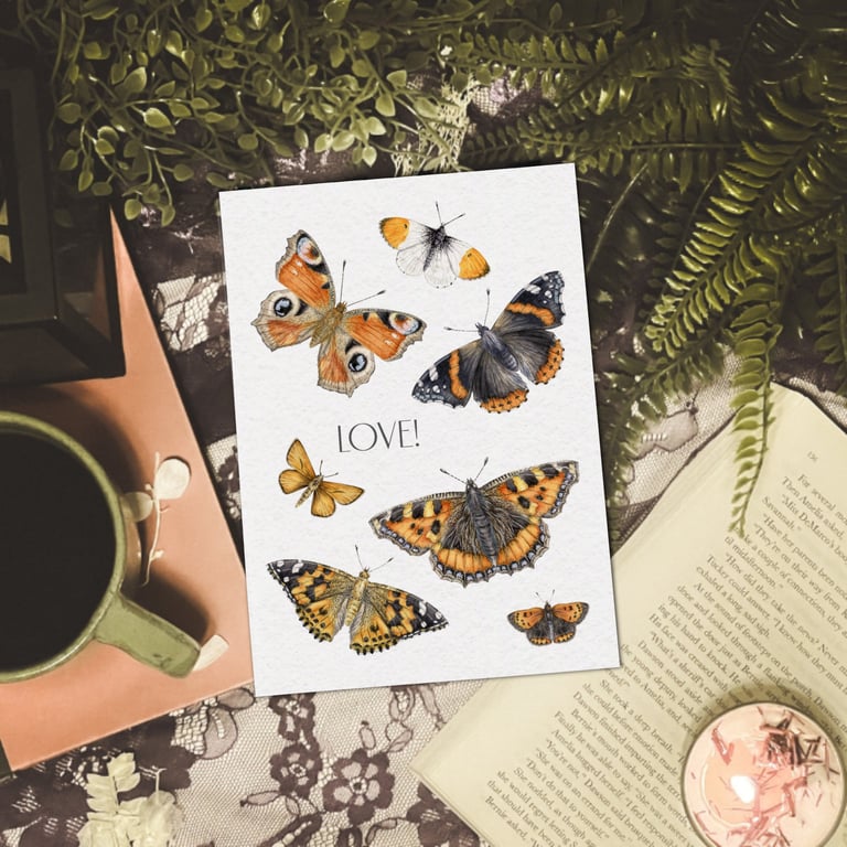 Butterfly Art Print - A5 size - Scottish wildlife illustration
