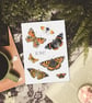 Butterfly Art Print - A5 size - Scottish wildlife illustration