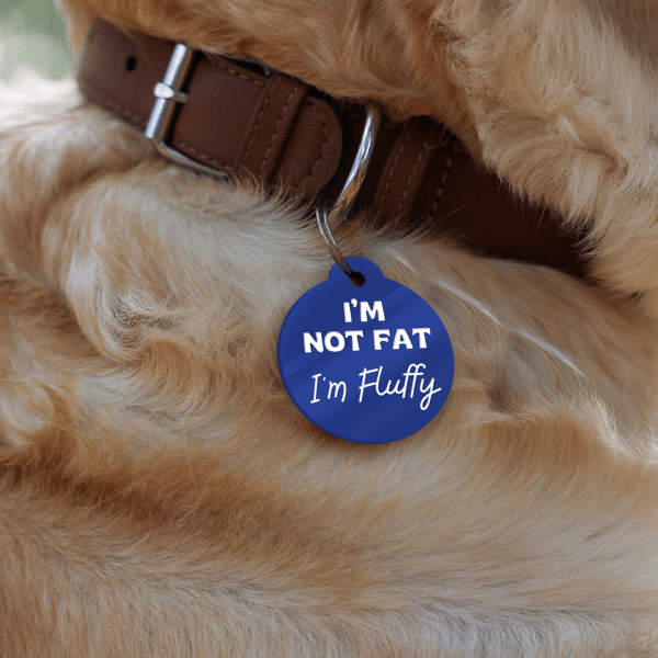 I'm Not Fat, I'm Fluffy - Personalised Dog ID Collar Tag: Funny Custom Pet 
