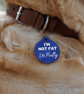 I'm Not Fat, I'm Fluffy - Personalised Dog ID Collar Tag: Funny Custom Pet 