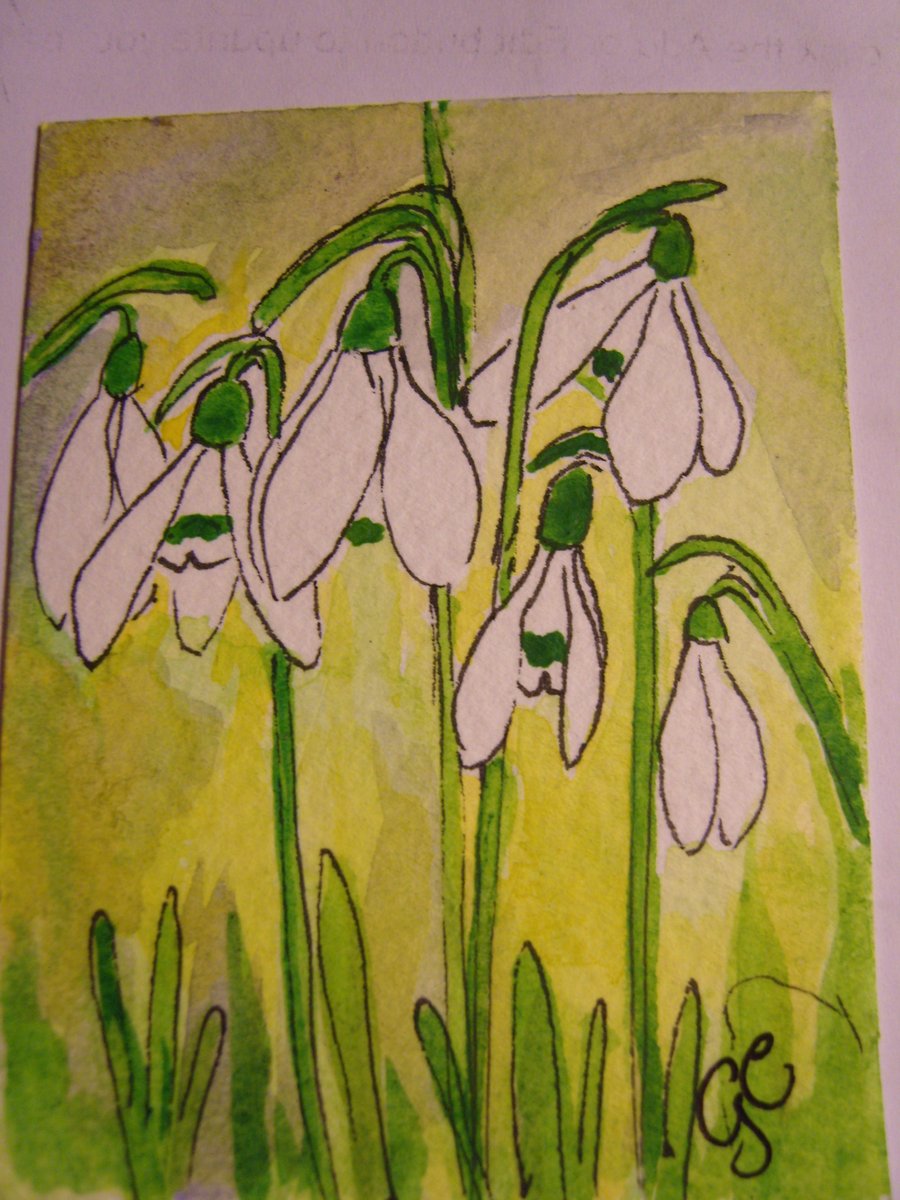 SNOWDROPS WATERCOLOUR ACEO MINATURE PAINTING