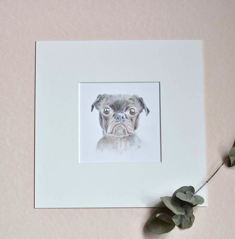 Percy The Pug - Original Hand drawn Dog Illustration - Pet Portrait