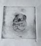 Koala Mother And Baby Etching - Image 2