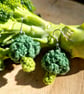 Broccoli earrings, Fun vegetable themed dangle earrings, Green earrings - Image 3