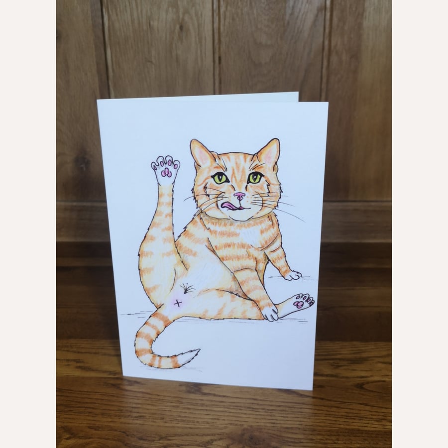 Cheeky Ginger Cat Greetings Card