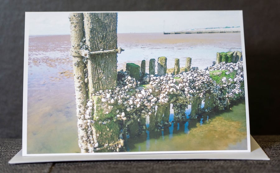 Barnacles on the Beach A6 Card