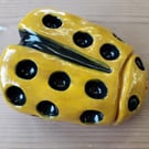 LadyBird