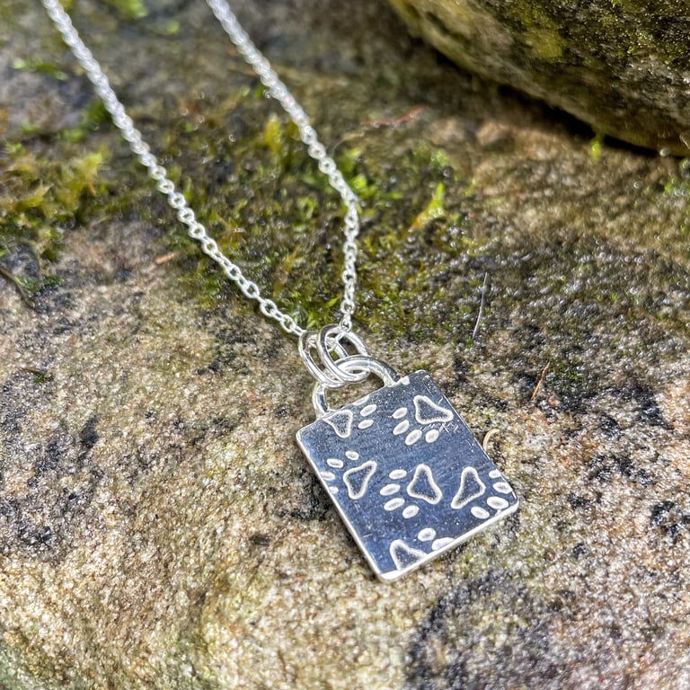 Paw print pendant and chain
