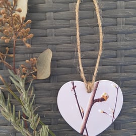 Pink tree bud hanging heart.