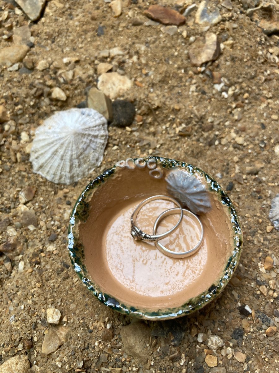 Limpet Shell Trinket Dish