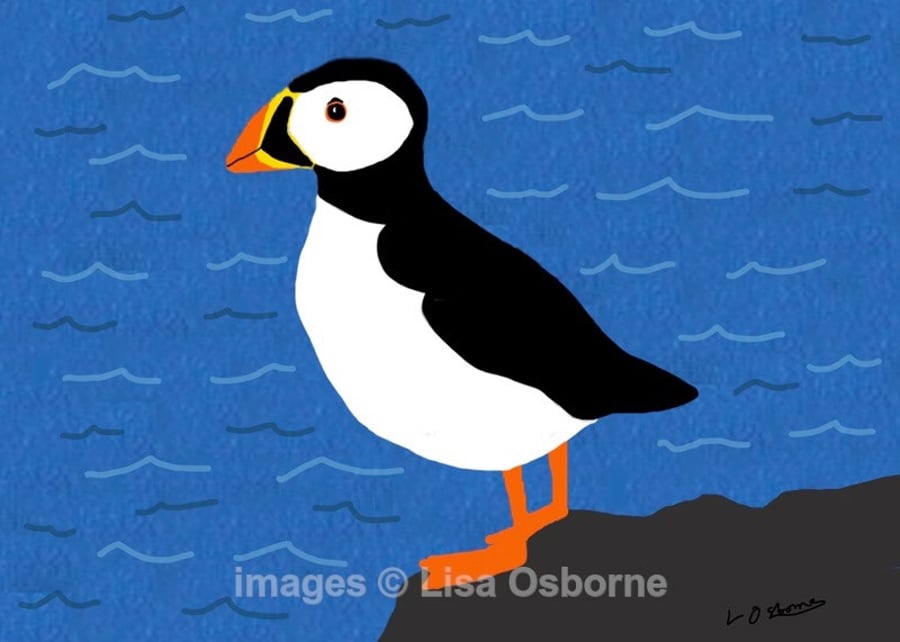 Puffin - print from digital illustration of this lovely coastal bird