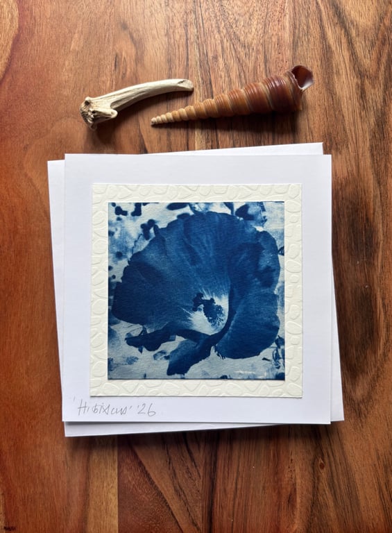 Hibiscus Flower - Cyanotype Card with envelope
