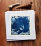 Hibiscus Flower - Cyanotype Card with envelope