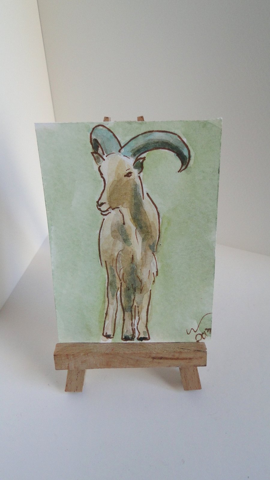 ACEO Animal Art Barbary Sheep Original Watercolour and Ink Painting OOAK 