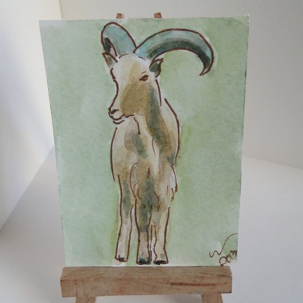 ACEO Animal Art Barbary Sheep Original Watercolour and Ink Painting OOAK 
