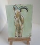 ACEO Animal Art Barbary Sheep Original Watercolour and Ink Painting OOAK  - Image 1