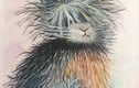 Prints of original watercolours