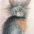 Bunny  