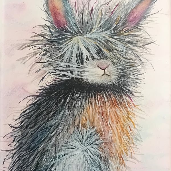 Bunny  