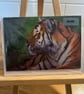 Small Tiger Card