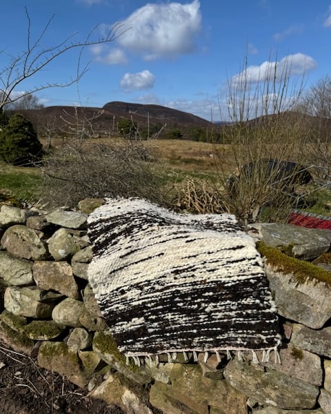 Shetland wool rug