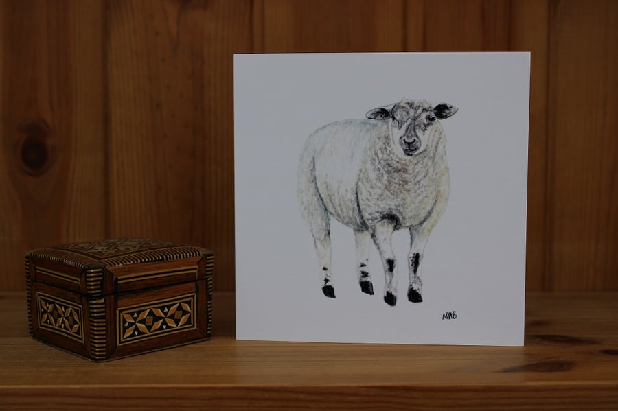 Sheep card 5 Pack Print from an original watercolour of a Sheep by Yellow Bee