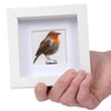Robin, little 3D fabric robin picture framed, gift, ornament