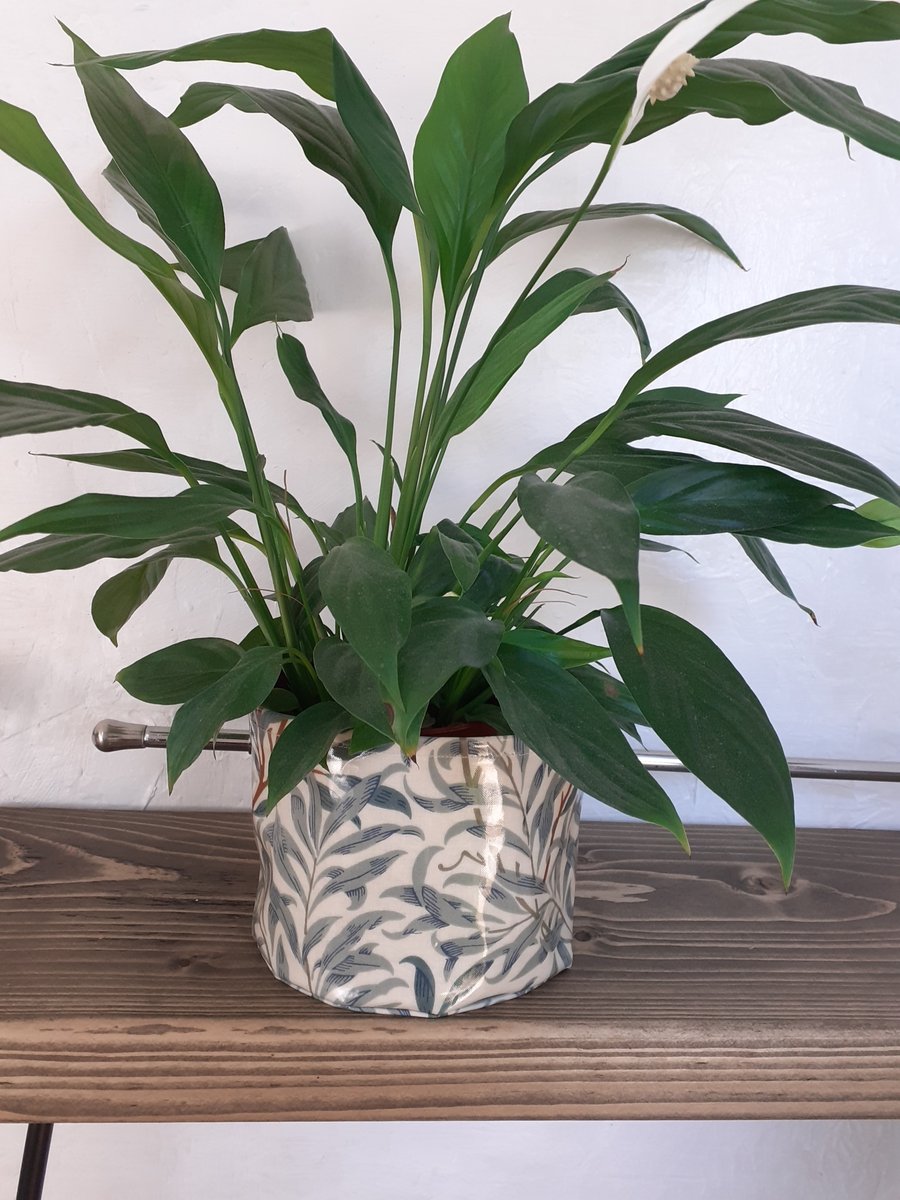 Indoor William Morris Willow Bough  fabric plant pot