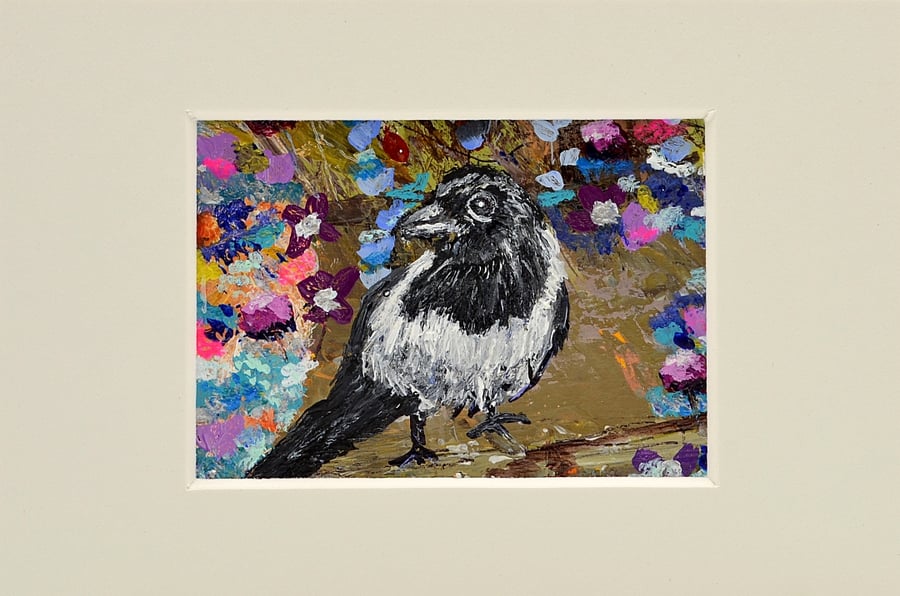 A Mounted ACEO of a Magpie.