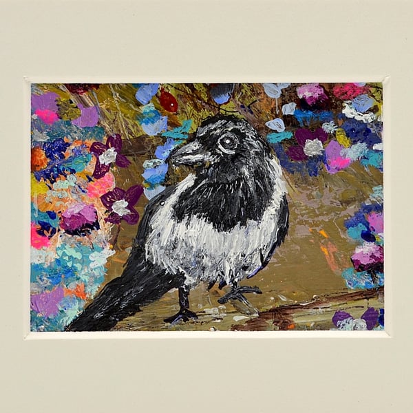 A Mounted ACEO of a Magpie.