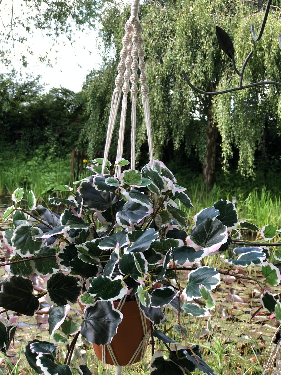 Macrame Plant Holder - 'Phoebe'